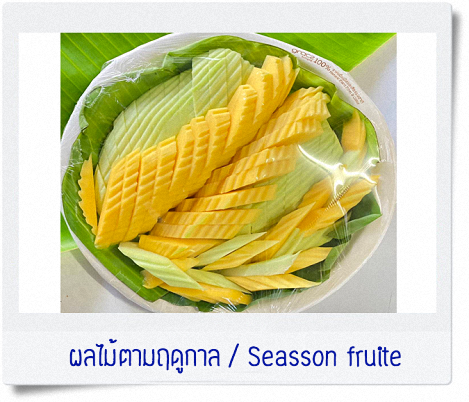 ทัวร์ตกหมึก ชุมพร